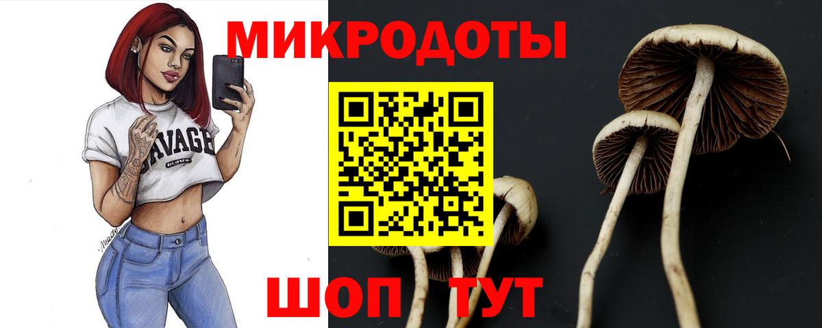 Галлюциногенные грибы ЛСД  Галлюциногенные грибы мухоморы  Фролово  Вход с VPN 