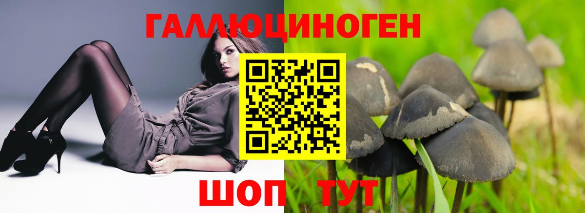 Галлюциногенные грибы Magic Shrooms Фролово